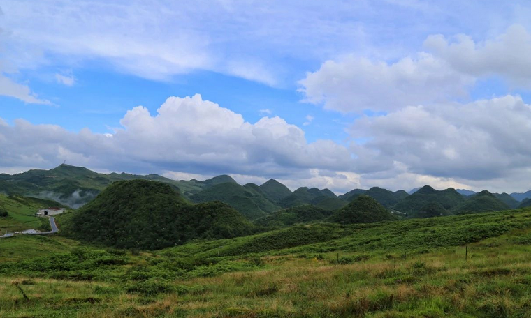 大方油杉河景區(qū)4.png