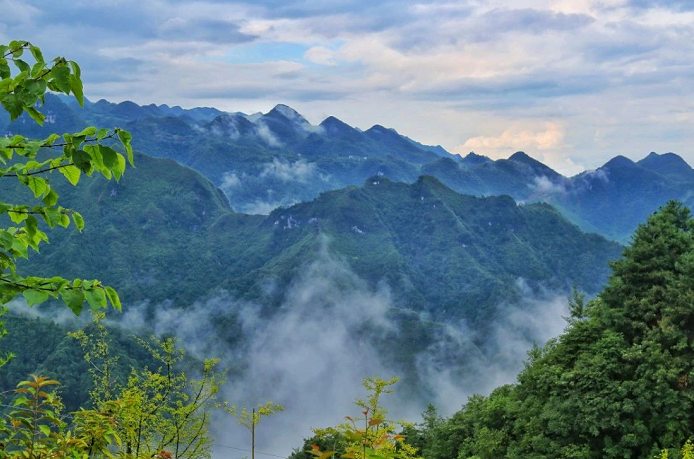 大方油杉河景區(qū).png