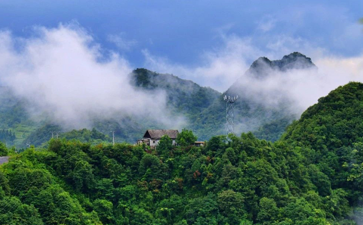 大方油杉河景區(qū).png