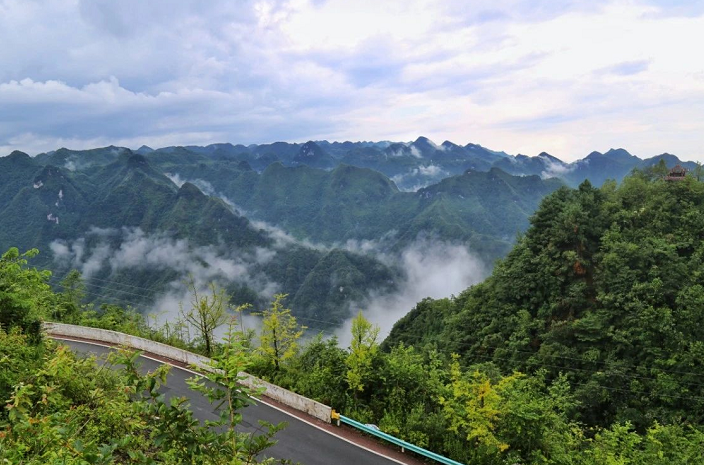 大方油杉河景區(qū)