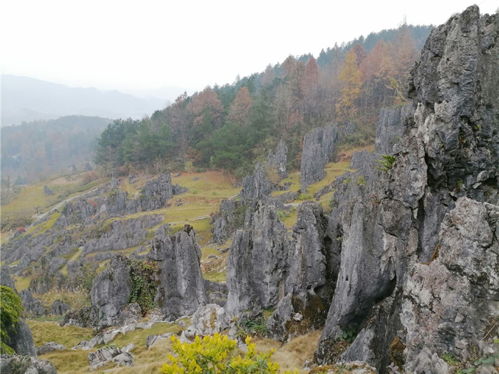 銅仁思南石林旅游區(qū)