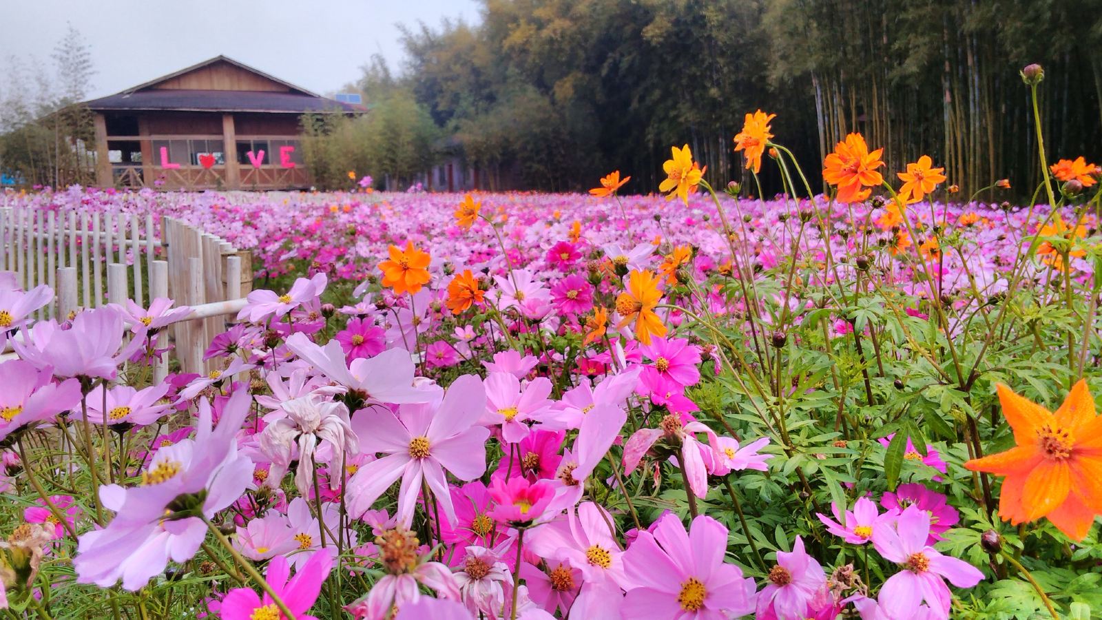 梧州道家沙灘公園.jpg