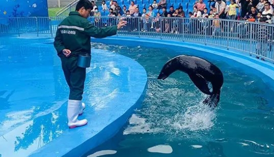 滑縣森林動物園