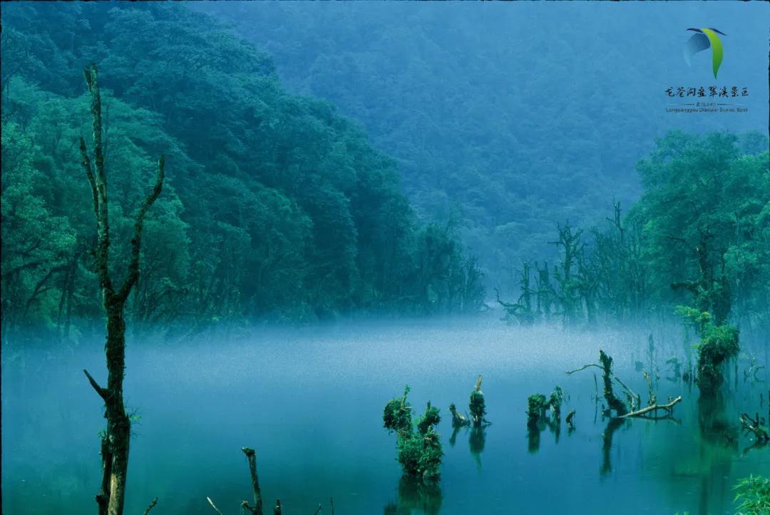 雅安龍蒼溝森林公園.jpg