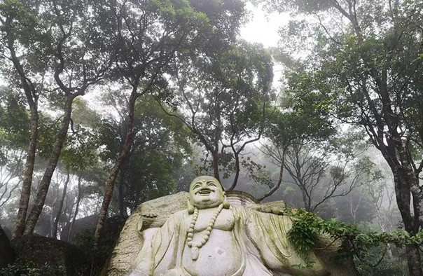 欽州石祖禪茶園