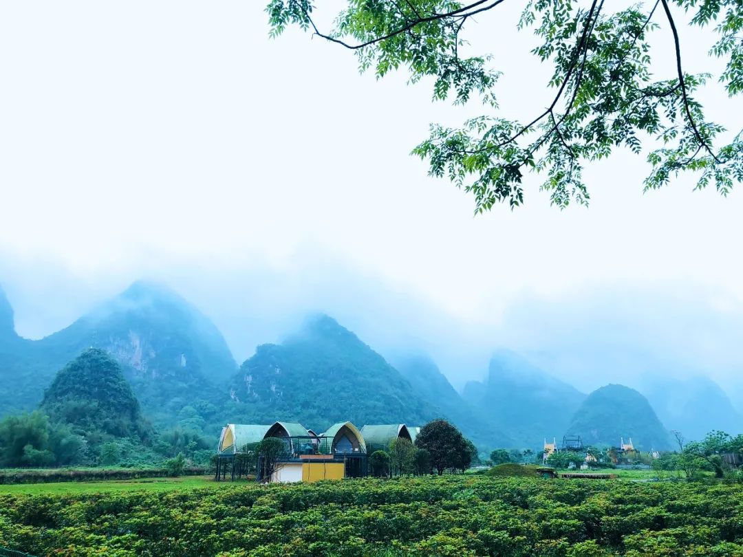 陽(yáng)朔香草森林