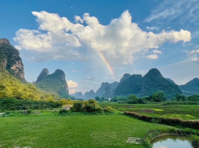 陽朔香草森林