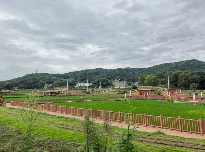 黃梅縣香樟園生態(tài)旅游區(qū)