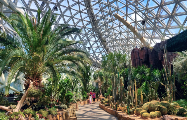 青島世博園植物館