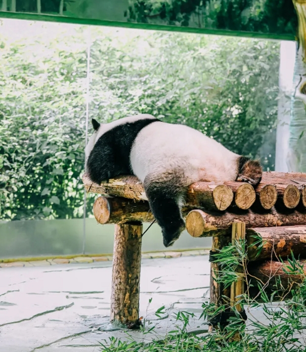 南京紫清湖野生動(dòng)物園