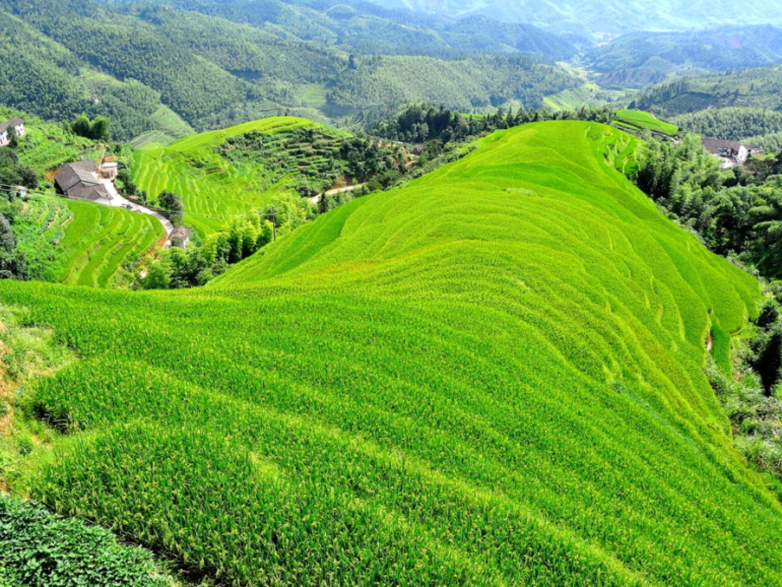 上堡梯田