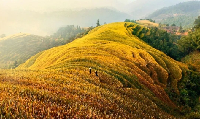 上堡梯田