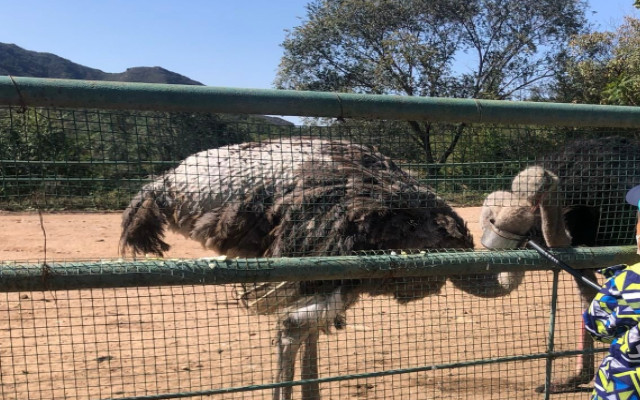 北京八達(dá)嶺野生動(dòng)物園.jpg