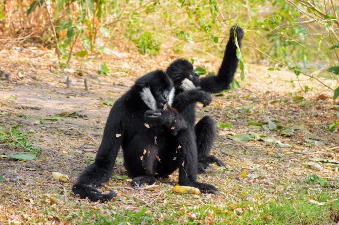 天津野生動物園