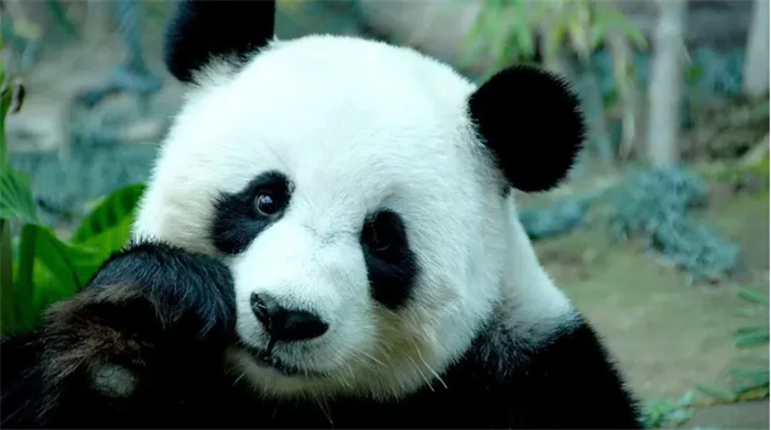 天津野生動物園