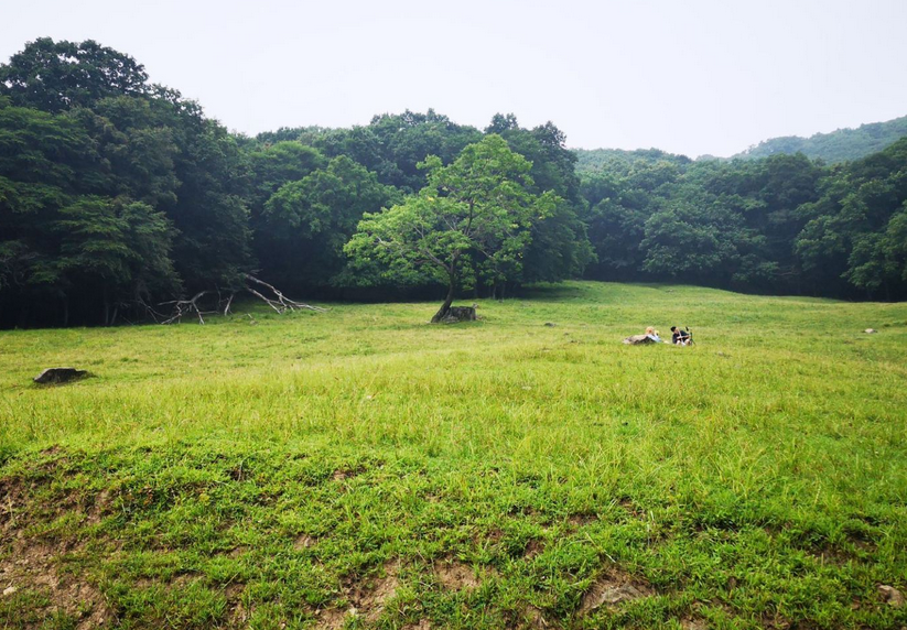 2024平山神鹿旅游區(qū)景點介紹+門票優(yōu)惠+地址