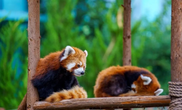 天津野生動(dòng)物園