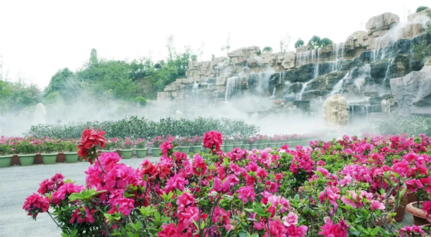 绵阳太乙仙山植物园