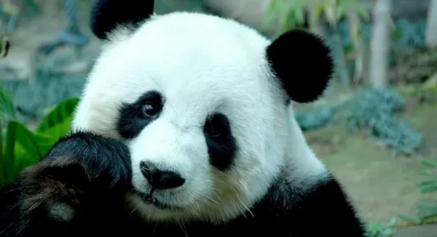 天津野生動(dòng)物園