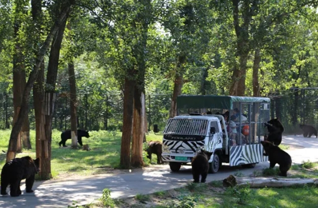 天津野生動物園