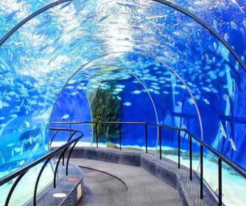 上海海洋水族館2.png