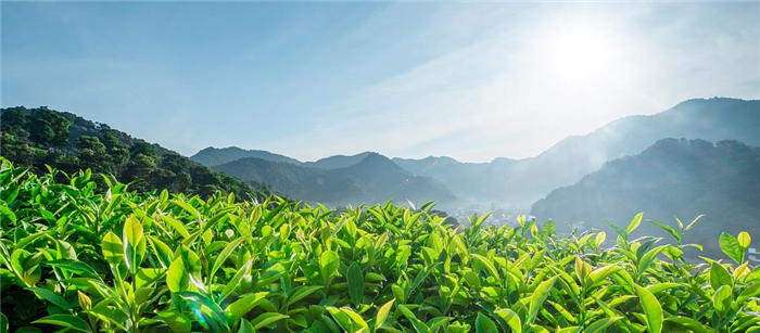 宣城云景牛山景區(qū)