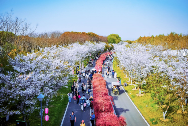 大洋灣生態(tài)旅游景區(qū).png