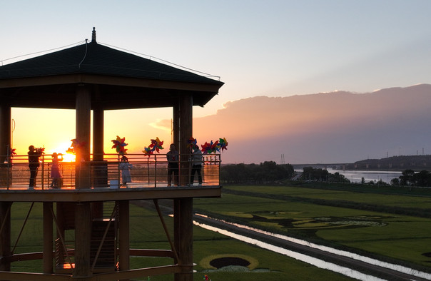 黃河稻漁生態(tài)觀光園.jpg