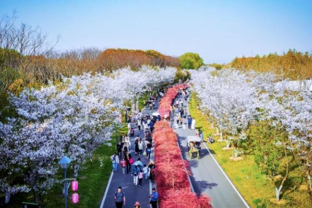 大洋湾生态旅游景区