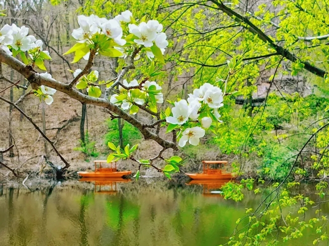 鞍山千山風(fēng)景區(qū)