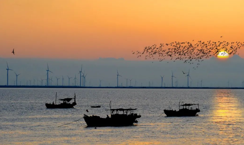 濰坊龍威趕海度假區(qū)