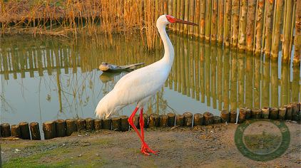 鹽城大豐港動(dòng)物園.jpg