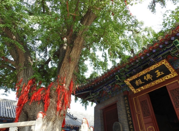 洛陽靈山寺風(fēng)景區(qū)