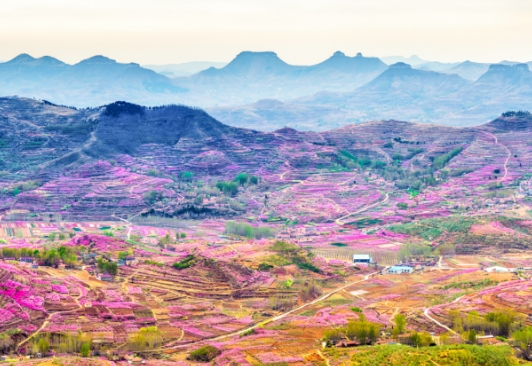 臨沂蒙陰岱崮地貌旅游景區(qū)