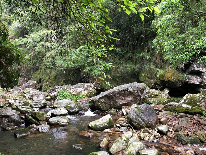 2024永泰青龍瀑布旅游攻略(門票票價+購票網(wǎng)址+景區(qū)簡介)