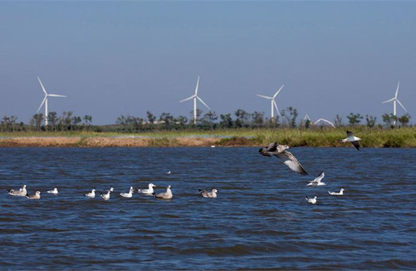 錦州東方華地城濕地公園