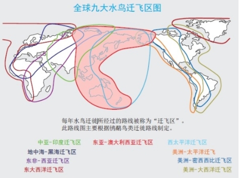 錦州東方華地城濕地公園