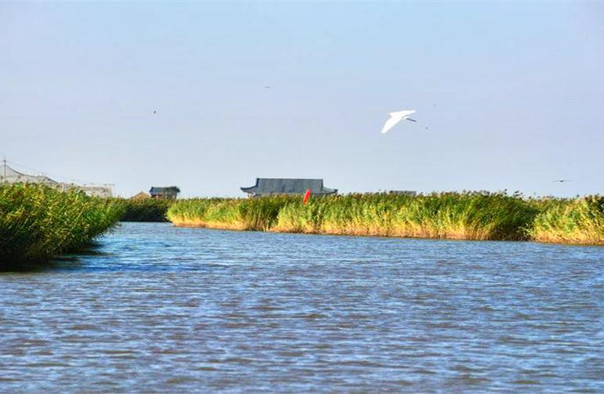 2025錦州東方華地城濕地公園景點介紹+門票價格+游玩項目