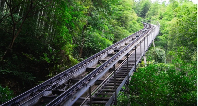 常州南山竹海風(fēng)景區(qū)