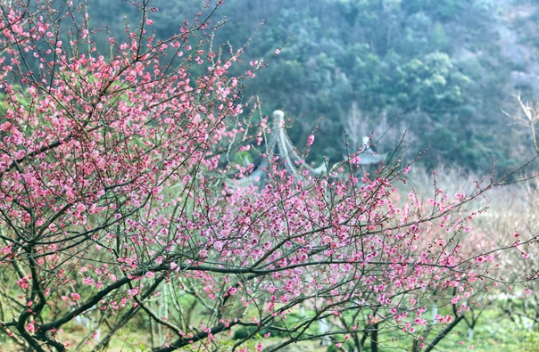 寧波九峰山網(wǎng)岙景區(qū) 