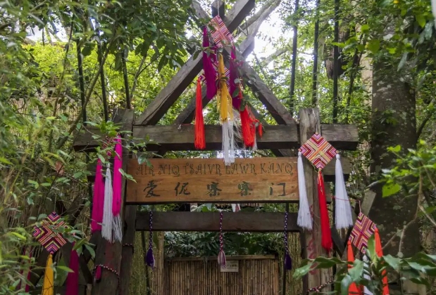 西雙版納森林公園