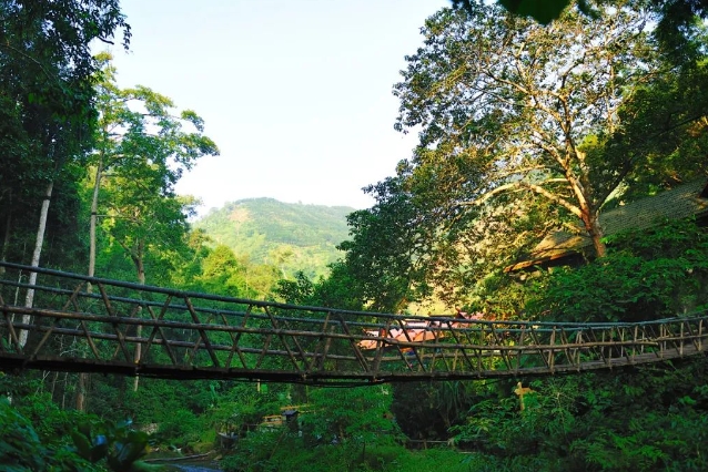 西雙版納森林公園