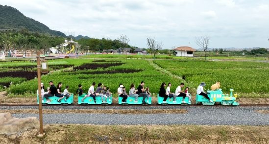 精靈之丘水豚主題樂園