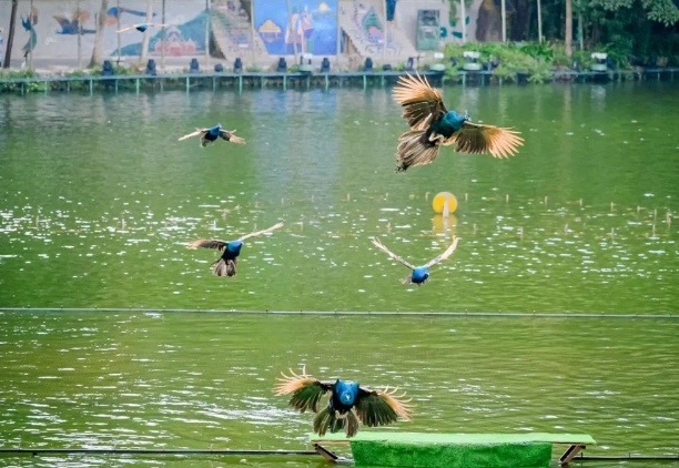 西雙版納森林公園