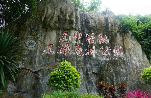 西雙版納森林公園