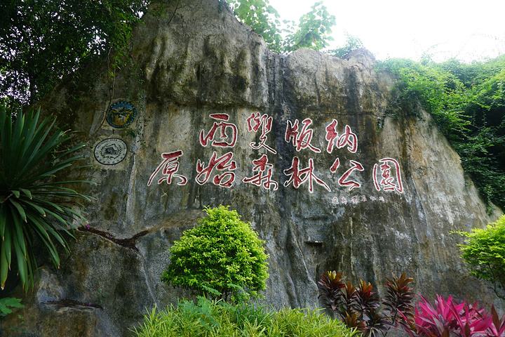 西雙版納原始森林公園