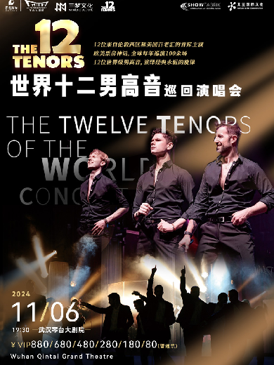 世界十二男高音the 12 Tenors武漢演唱會