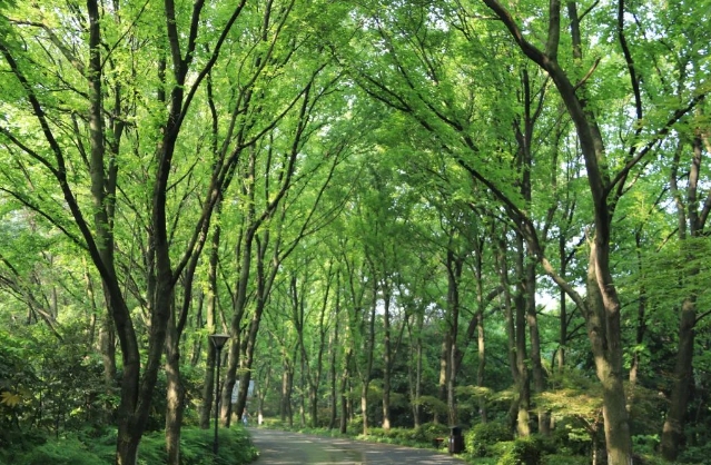 長沙植物園