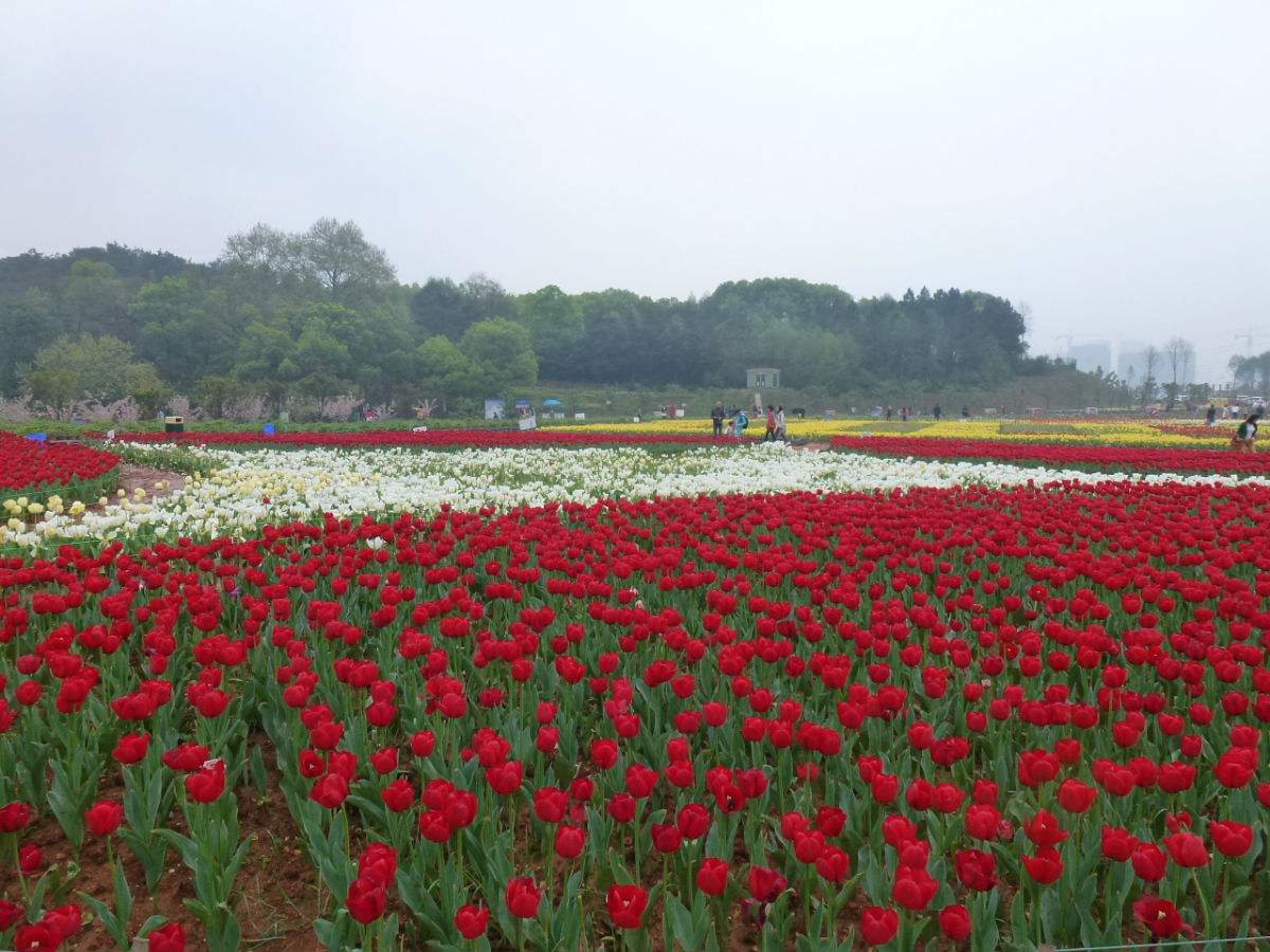 湖南省森林植物園