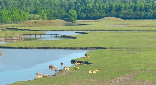 溱湖國(guó)家濕地公園1.png